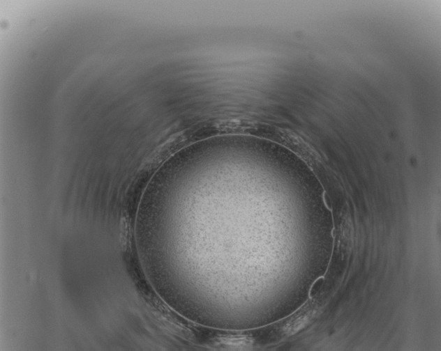 X0000063490659200601271721