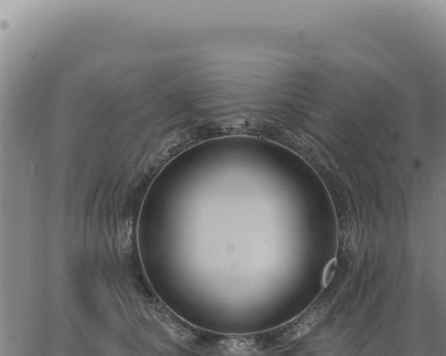 X0000063490660200601271721