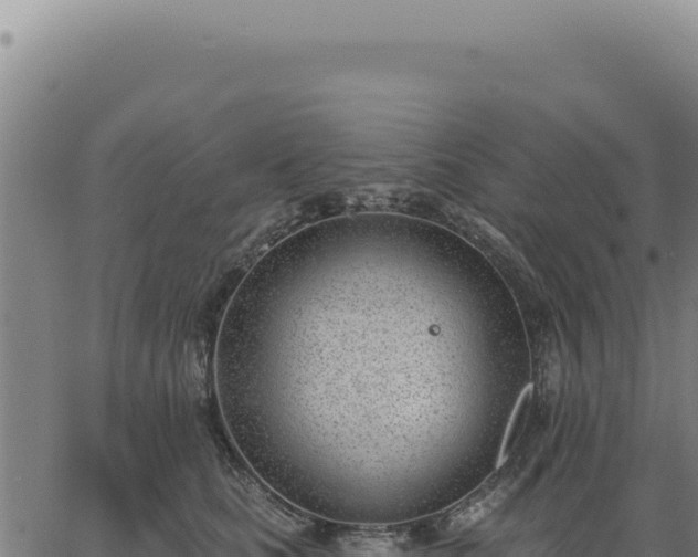 X0000063490661200601271721