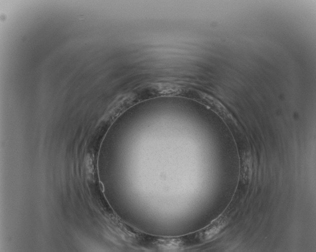 X0000063490667200601271721