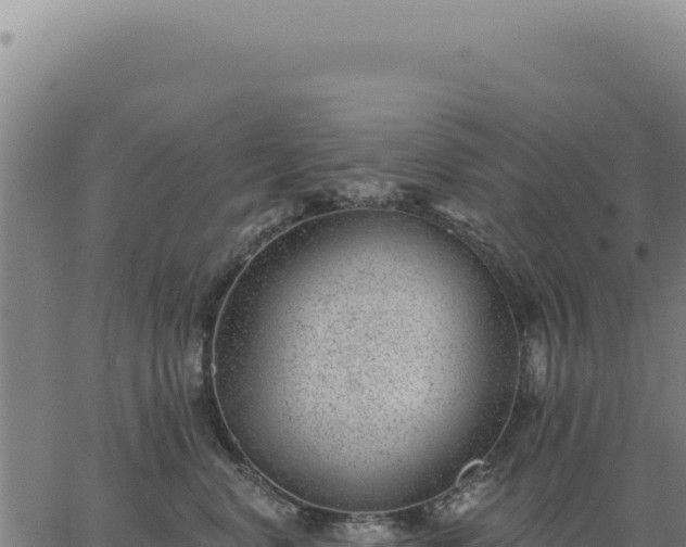 X0000063490668200601271721