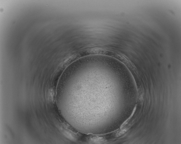 X0000063490669200601271721