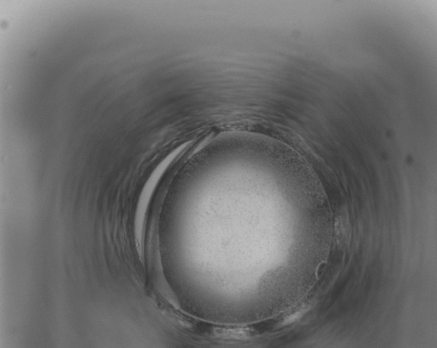 X0000063490671200601271721