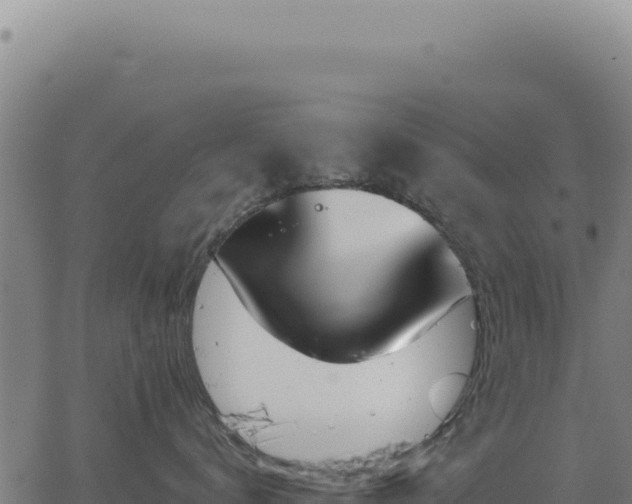 X0000063490672200601271721