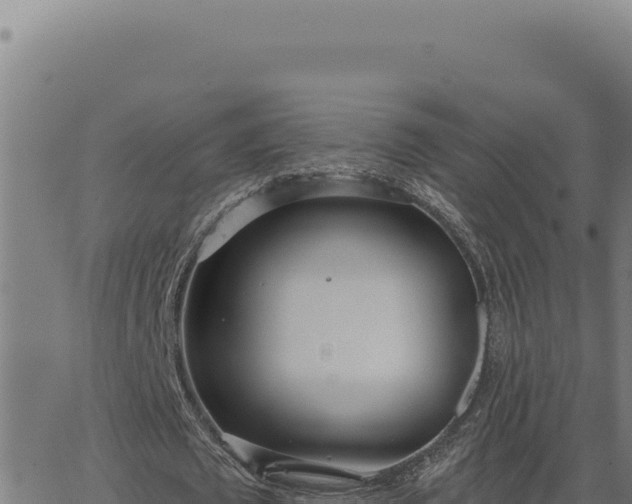 X0000063490673200601271721