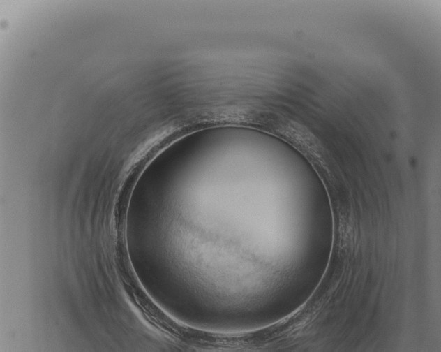 X0000063490674200601271720