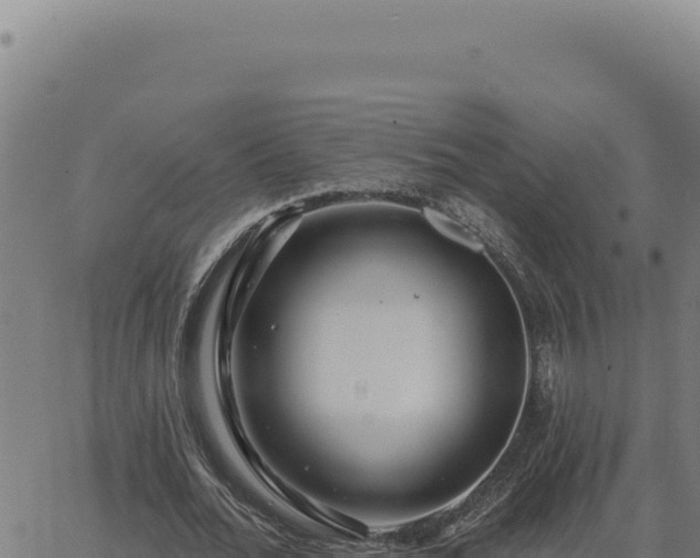 X0000063490676200601271720