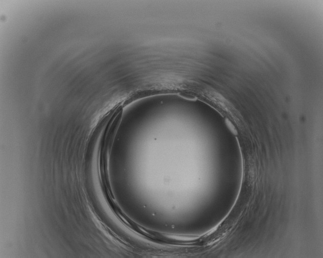 X0000063490677200601271720