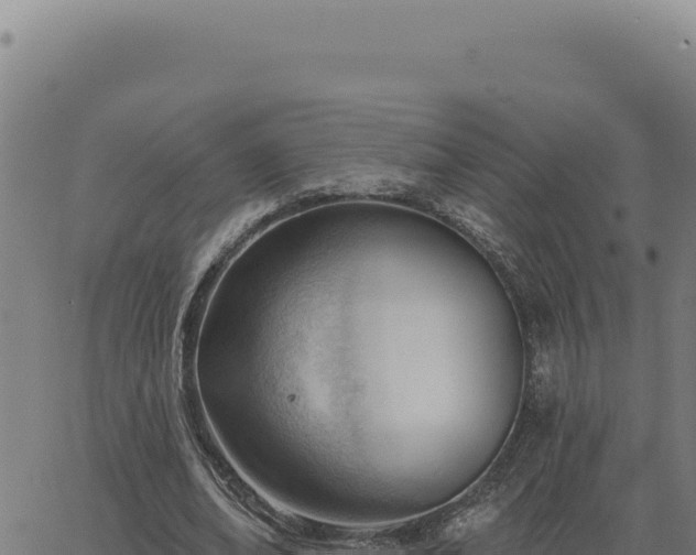 X0000063490678200601271720