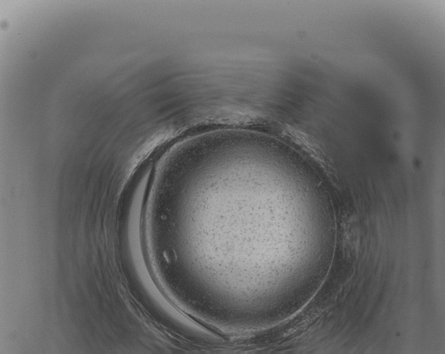 X0000063490679200601271720