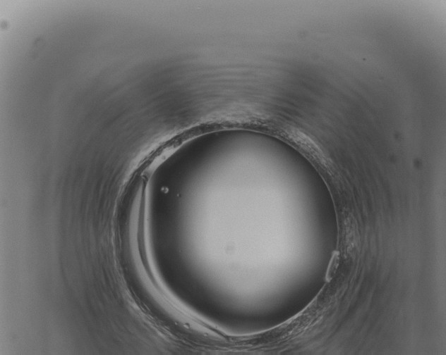 X0000063490680200601271720