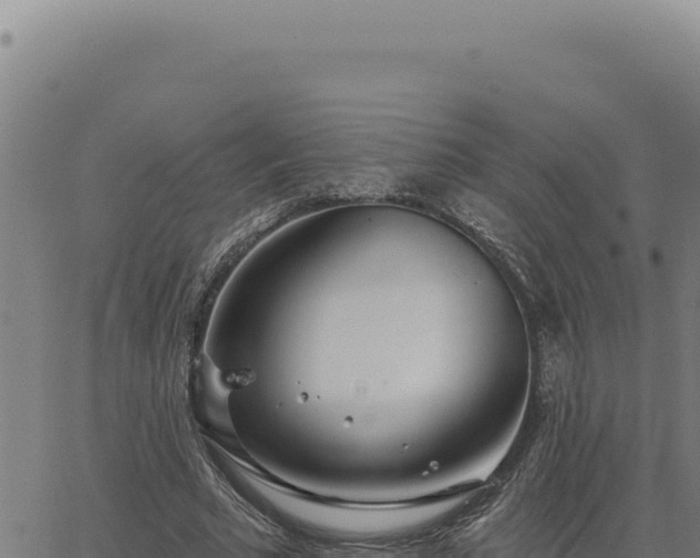 X0000063490681200601271720