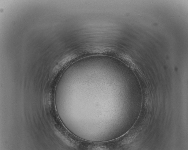 X0000063490683200601271720