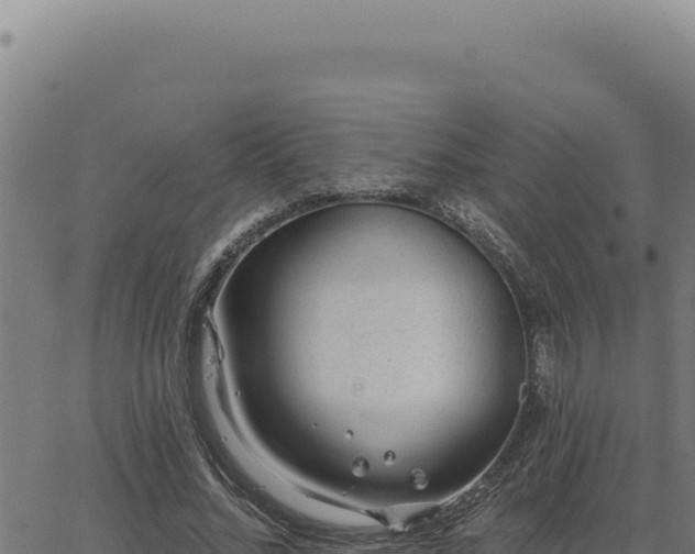 X0000063490684200601271720