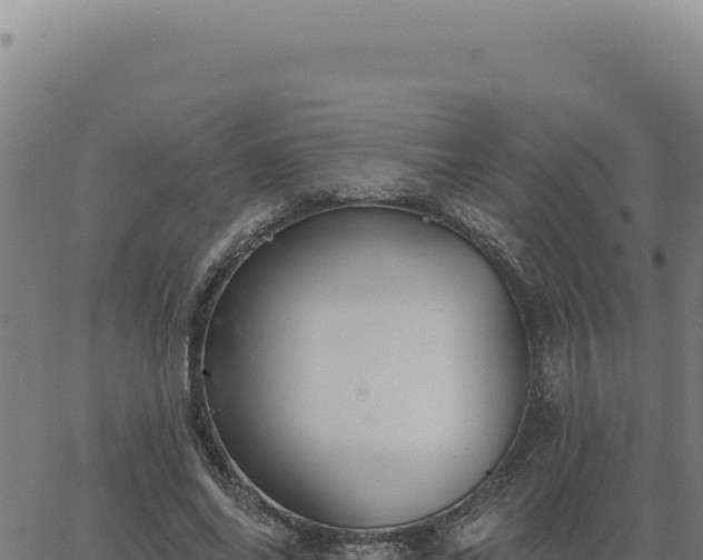 X0000063490686200601271720