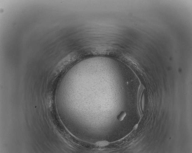 X0000063490687200601271720