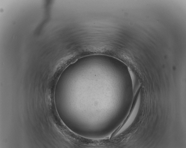 X0000063490688200601271720