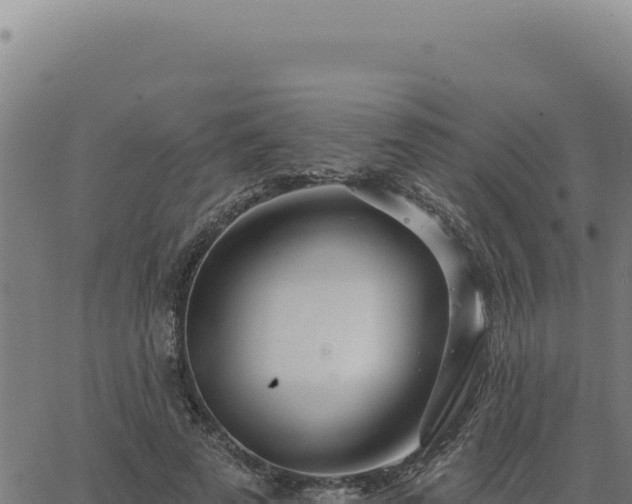 X0000063490689200601271720