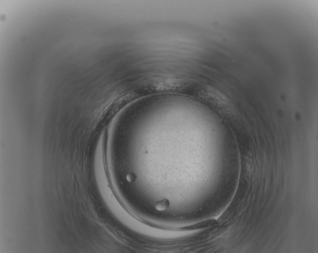 X0000063490691200601271720