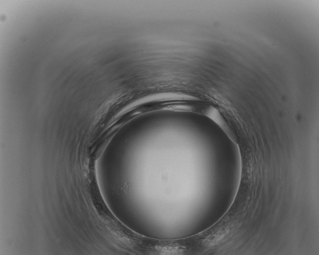 X0000063490693200601271720