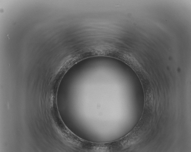 X0000063490694200601271720