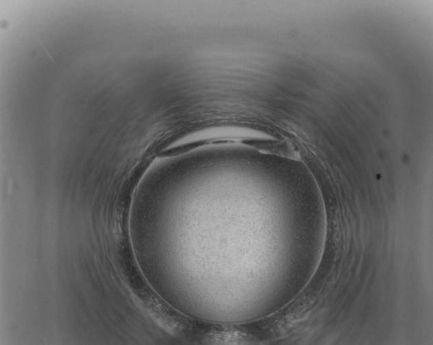 X0000063490695200601271720