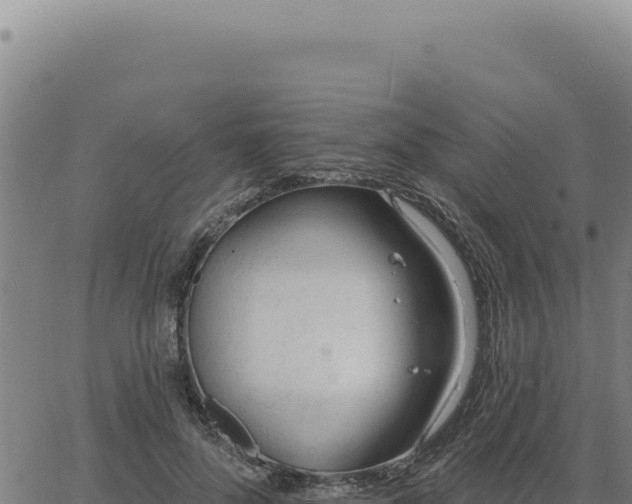 X0000063490696200601271720