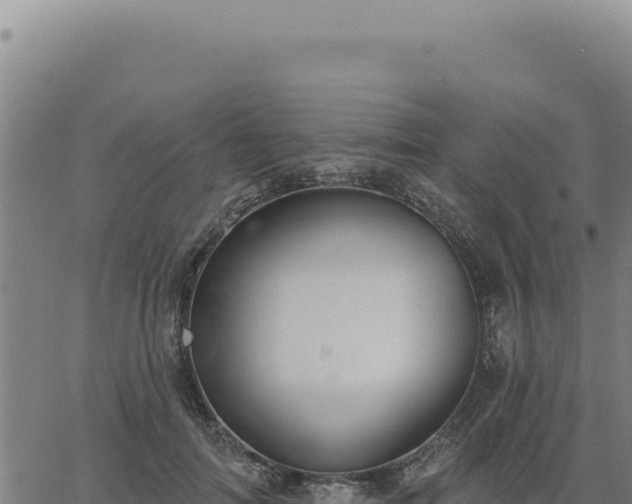 X0000063490698200601271720