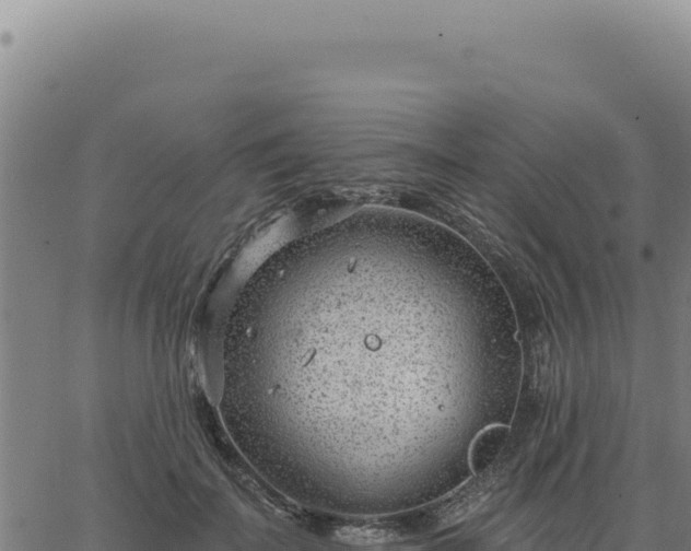 X0000063490699200601271720