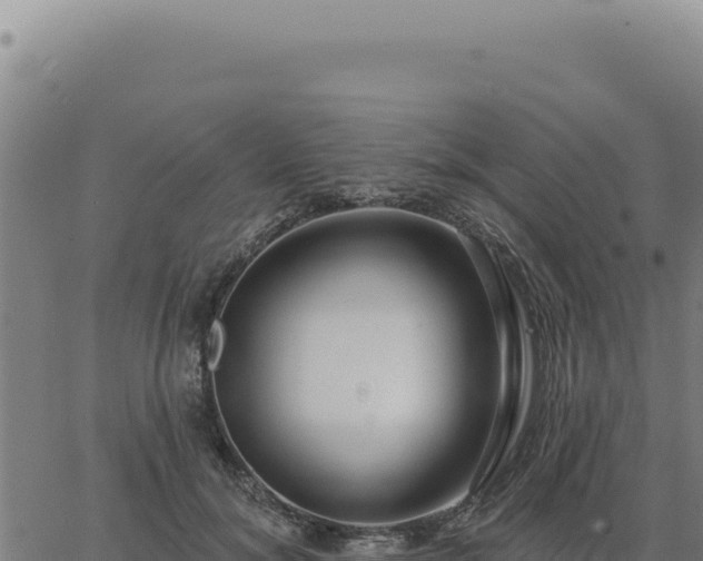 X0000063490700200601271720