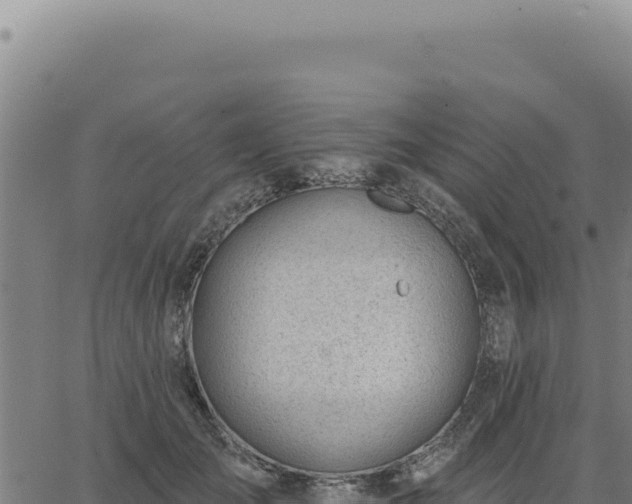 X0000063490701200601271720