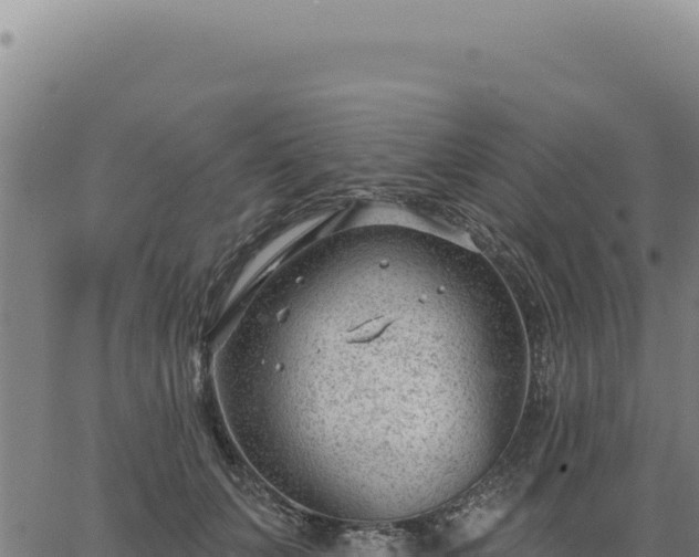 X0000063490703200601271720