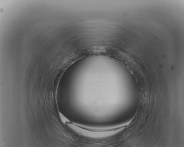 X0000063490704200601271720