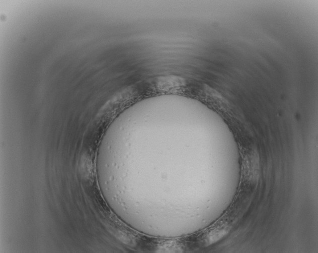 X0000063490705200601271720