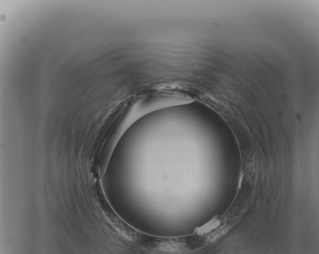 X0000063490708200601271720