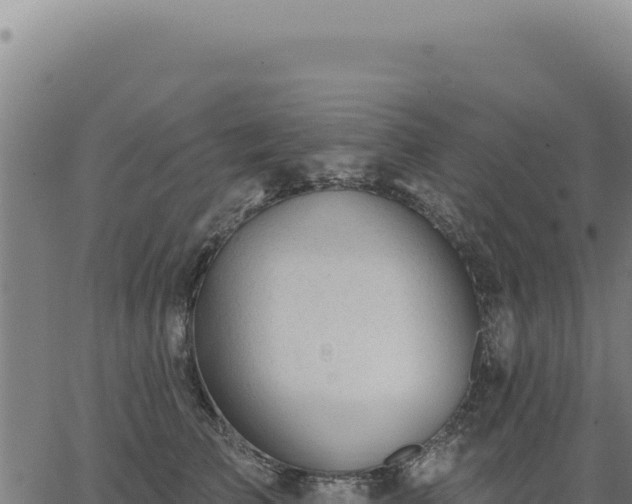 X0000063490709200601271720