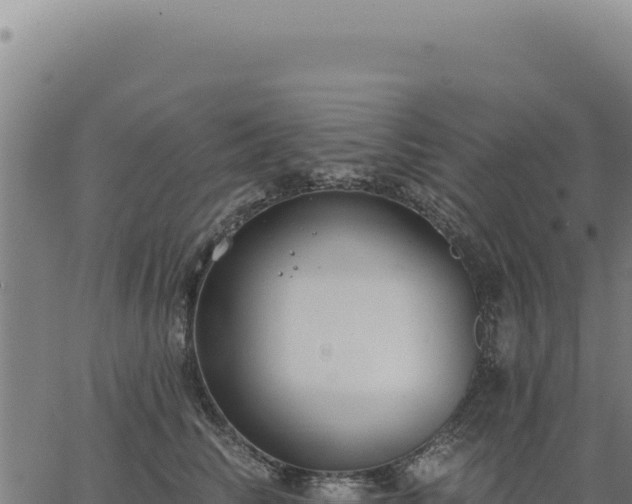 X0000063490710200601271720