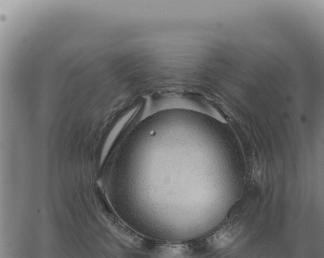 X0000063490711200601271720