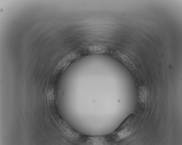 X0000063490713200601271720