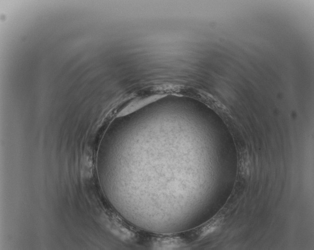 X0000063490716200601271720