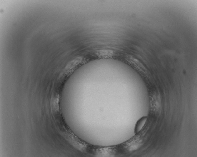 X0000063490717200601271720