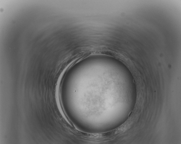 X0000063490720200601271720