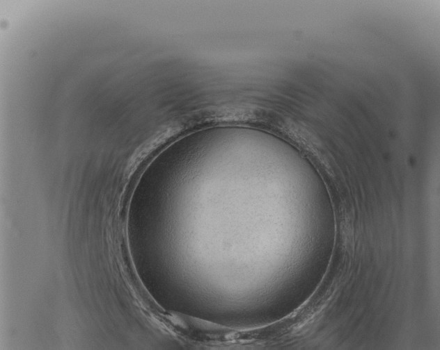 X0000063490721200601271719