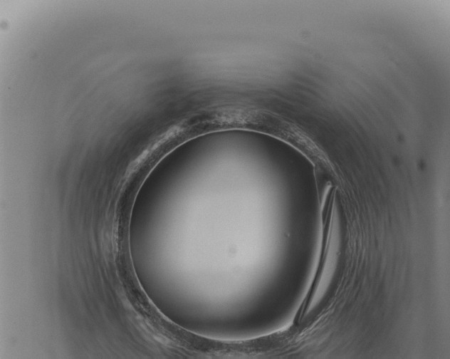 X0000063490722200601271719