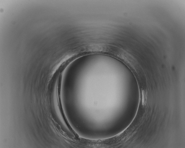 X0000063490723200601271719