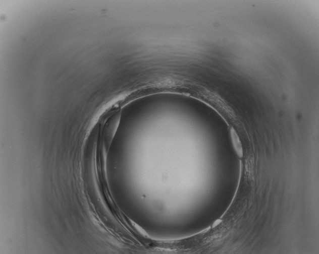 X0000063490724200601271719