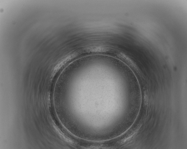 X0000063490725200601271719