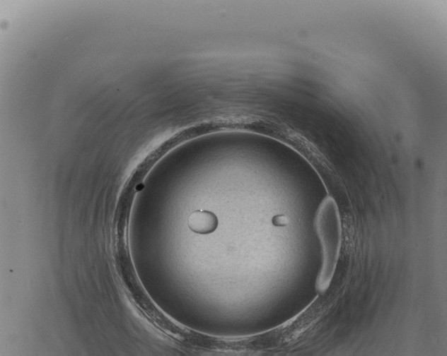 X0000063490726200601271719