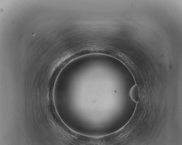 X0000063490727200601271719