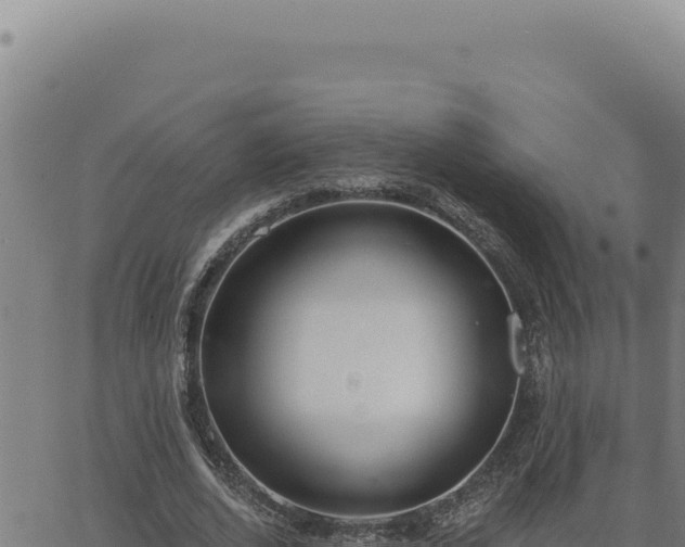 X0000063490728200601271719